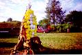 Burning Corn 2000